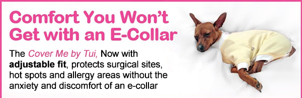 Comfort You Won't Get with an E-Collar
