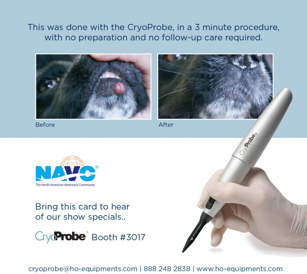 Lab Cynoprobe CryoProbe