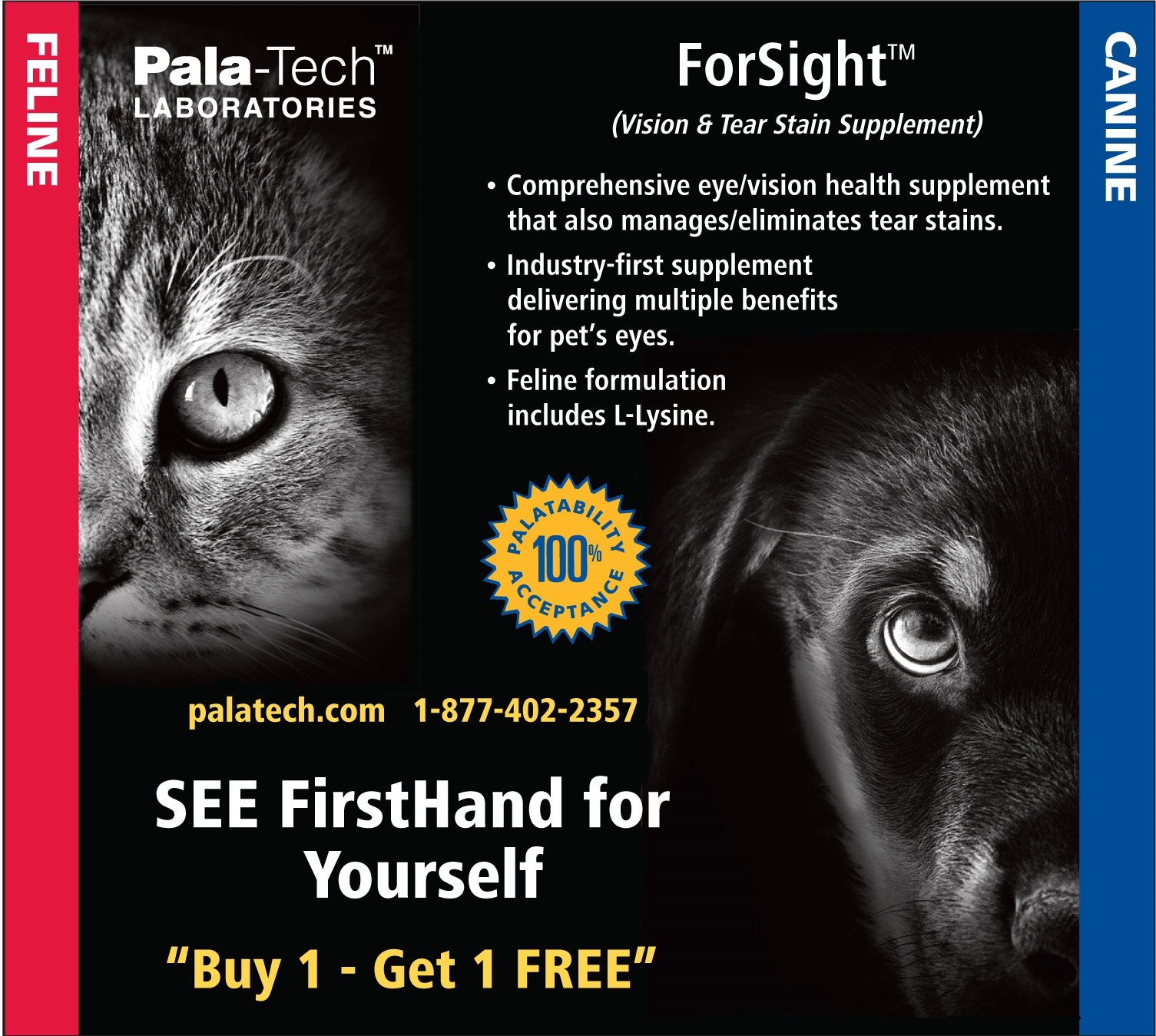 See FirstHand for Yourself what Supplements can do for Felines and Canines